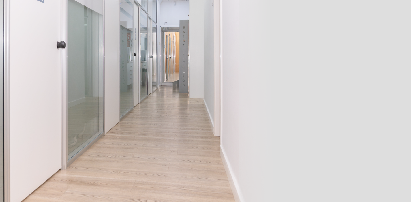 ¿Miedo al dentista?